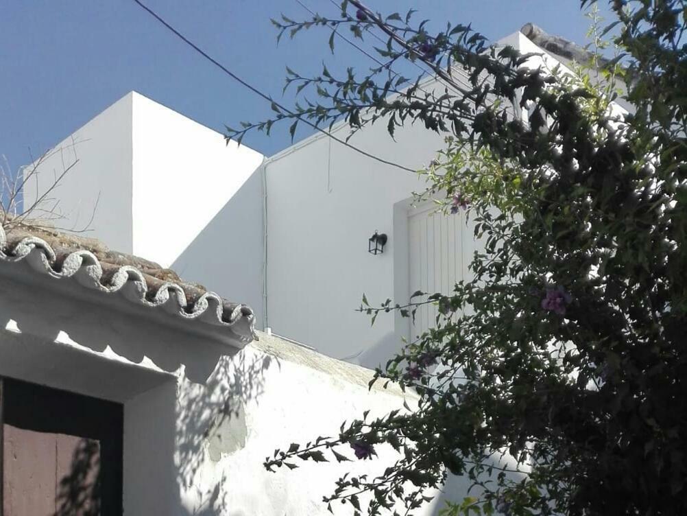 Casa Patio Paraiso Apartment Vejer de la Frontera
